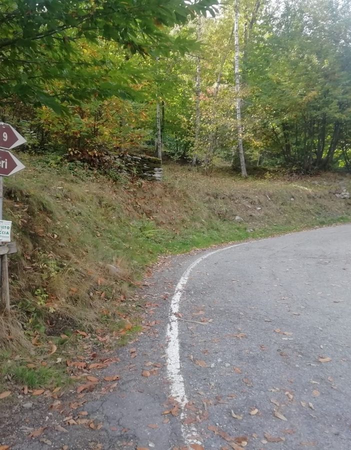La strada per la Comba Carbonieri