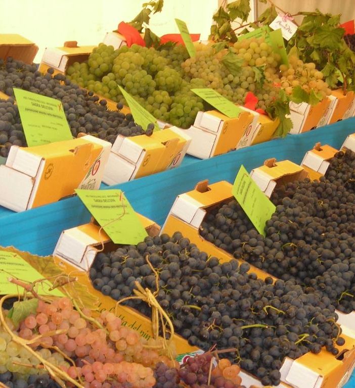 Pro loco e attività di Bricherasio al lavoro per riempire di gusto piazza Castelvecchio
