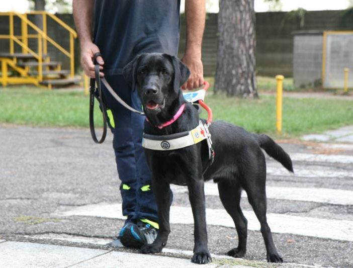 La ‘Febbre del venerdì sera’ porterà nel Pinerolese un nuovo cane guida