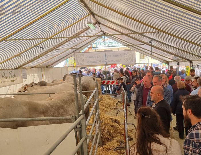 (Foto di repertorio)