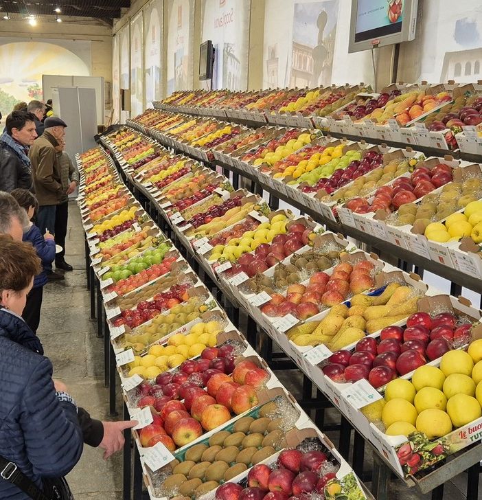 Le mele in esposizione sotto l’ala di Cavour