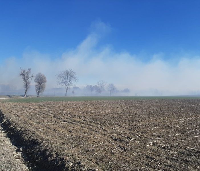 Fiamme spinte da vento e siccità corrono nei campi di mais di Cavour