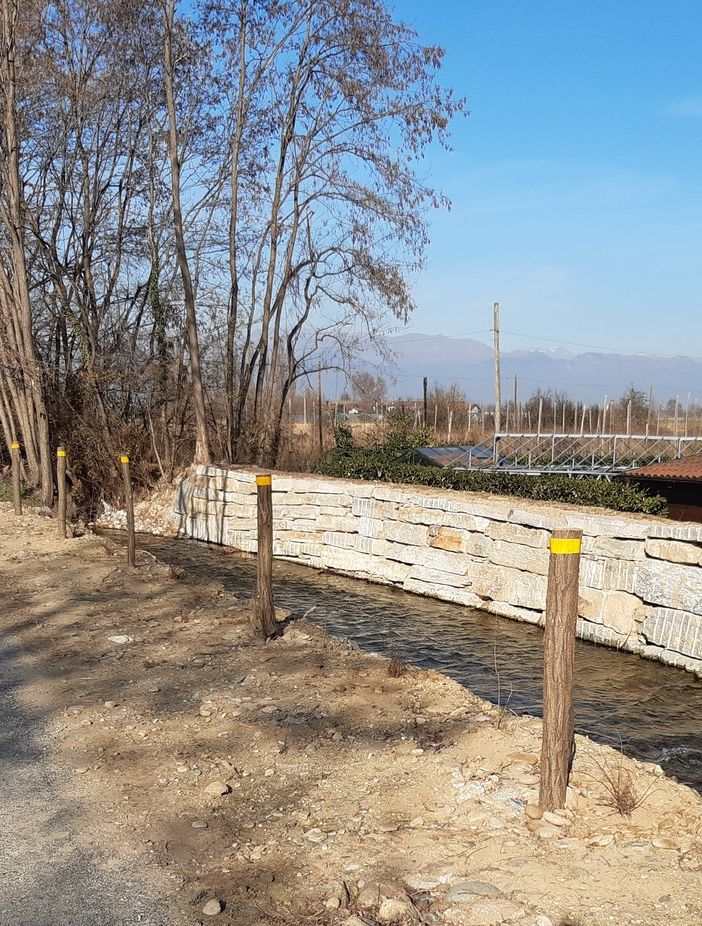 Più siepi a Cavour per conservare paesaggio e biodiversità naturale