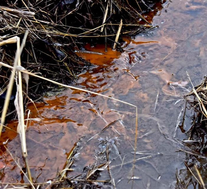 «Quella sostanza melmosa non ci piace», il Comitato Valnoce Ambiente e Salute chiede rassicurazioni sugli scoli