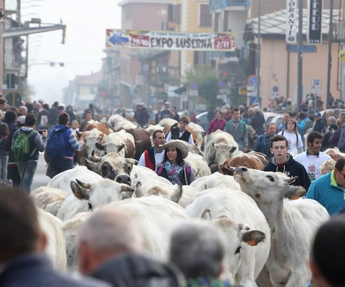 Cresce il richiamo della “Fiera dei Santi” di Luserna San Giovanni