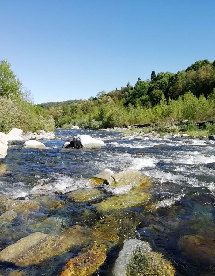 ‘Il Pellice soffre’: un incontro per ascoltare i primi dati di un monitoraggio sulla qualità dell’acqua