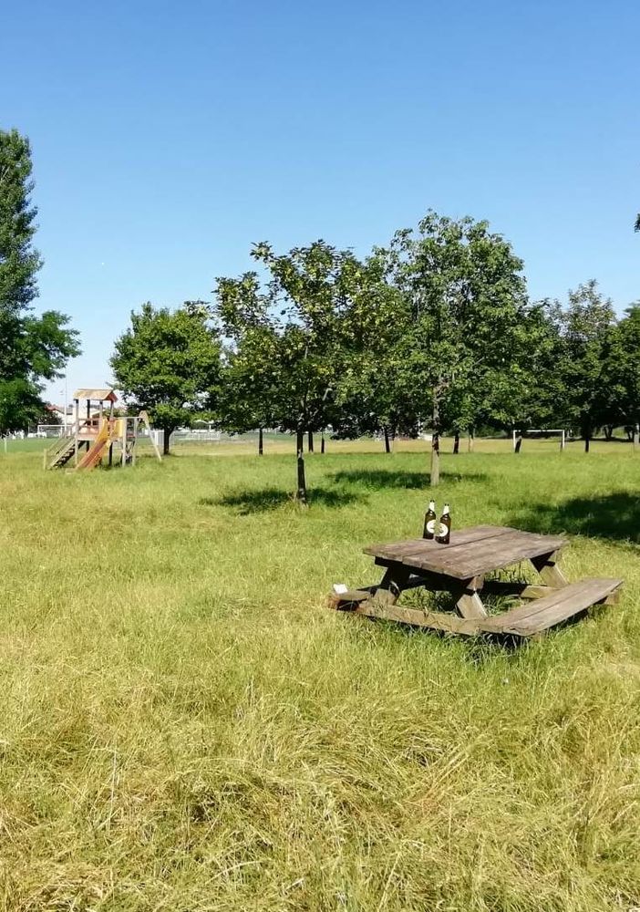 Nuovi arredi per l’area verde sul Pellice semi abbandonata a Luserna San Giovanni