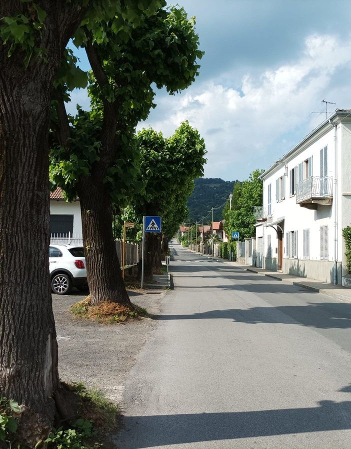 I tigli di via Gianavello a Luserna San Giovanni