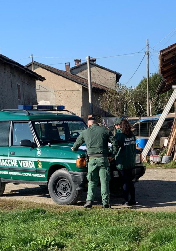 (Foto di repertorio)