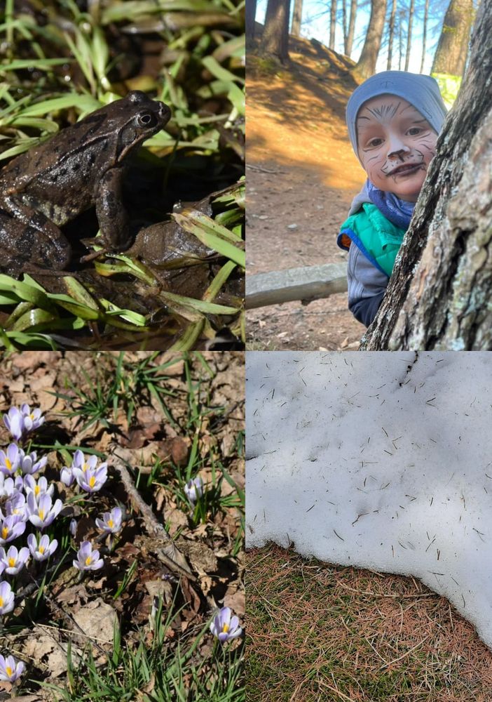 Pian Munè di Paesana: passeggiata tra la neve che si scioglie e la natura che si risveglia