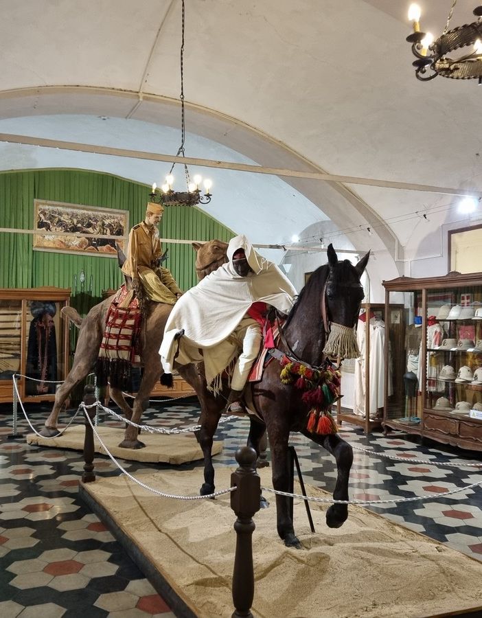 Una delle sale del Museo della Cavalleria