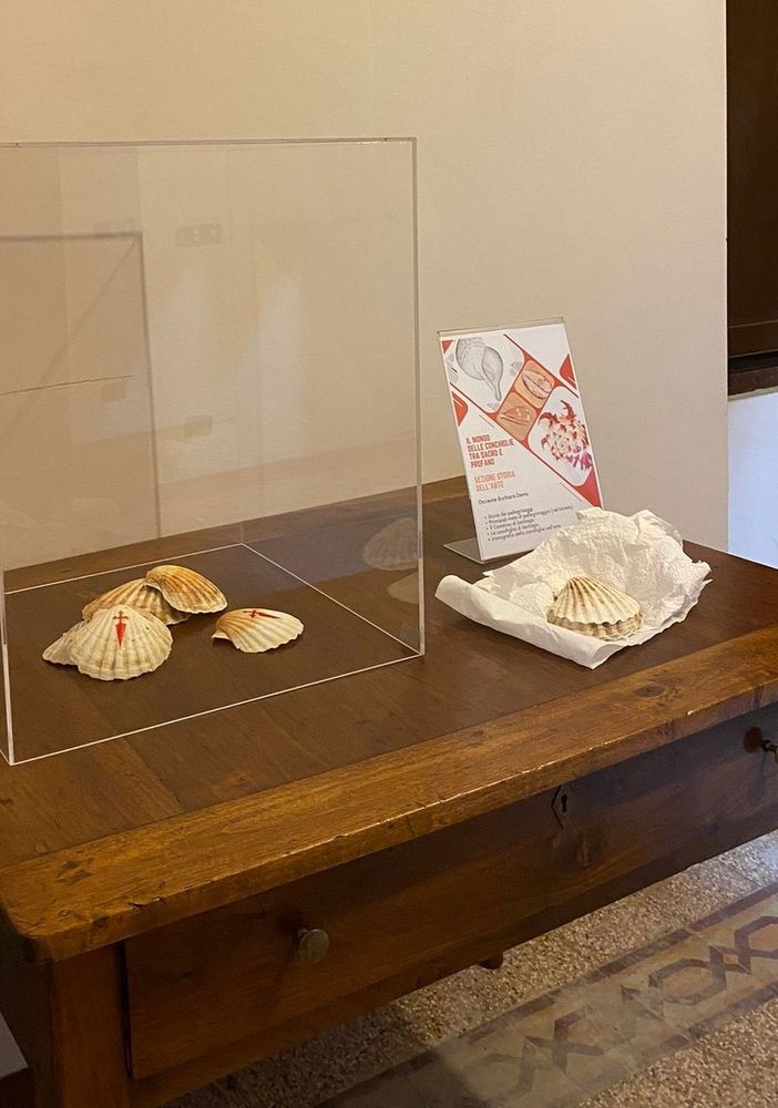 La mostra è stata allestita nei locali di Villa Prever