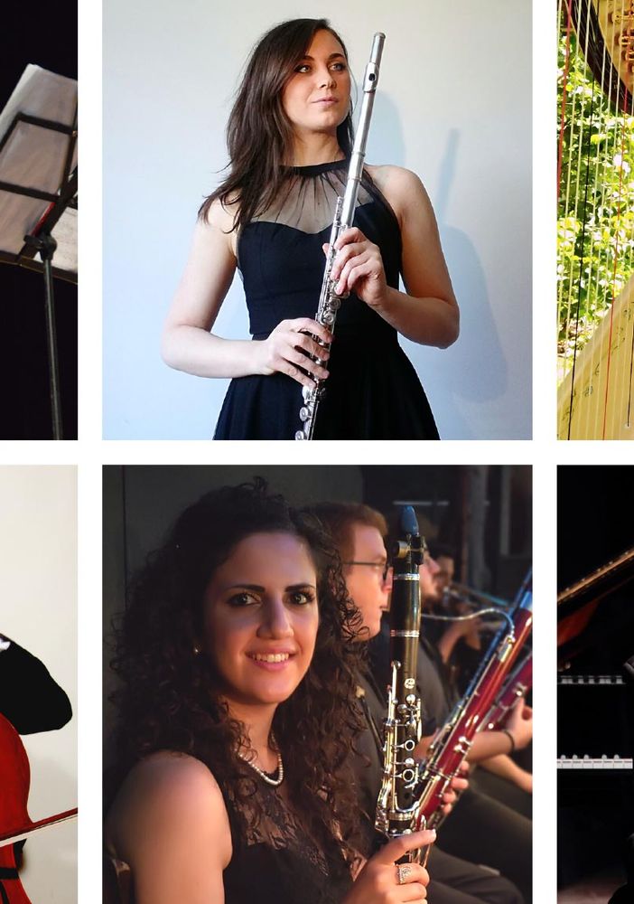 I giovani musicisti di Professione Orchestra si esibiscono domani a Pinerolo