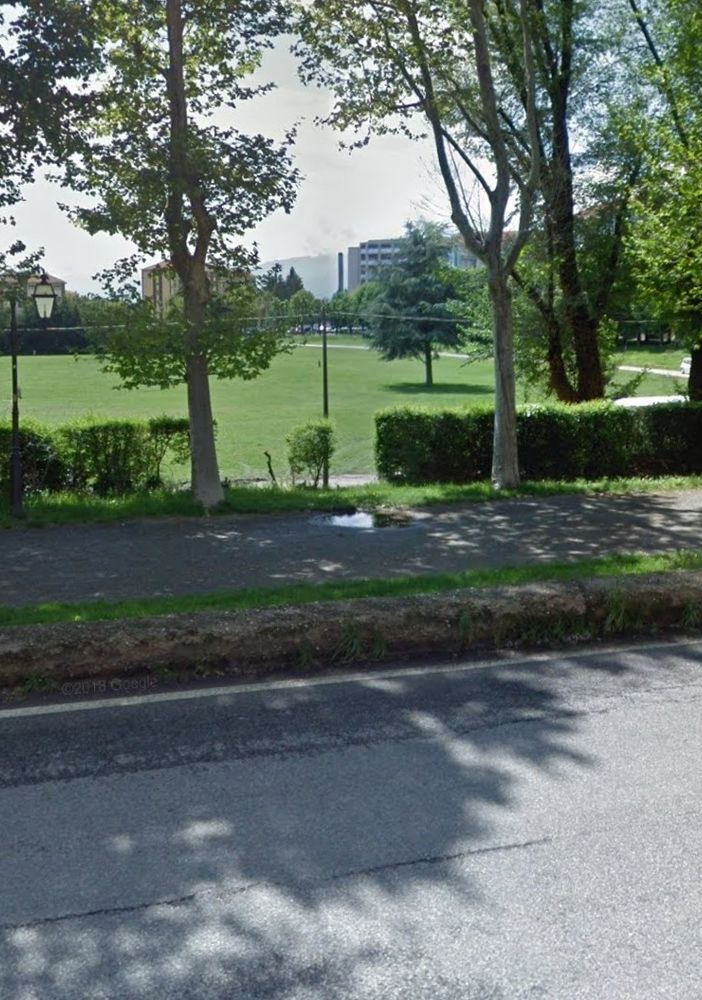 Piazza D’Armi a Pinerolo vietata ai cani: il sindaco sospende la decisione
