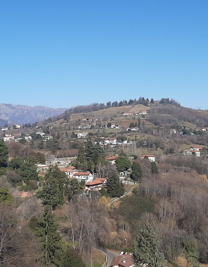 La vista sulla collina dal nuovo solaio del campanile di San Maurizio