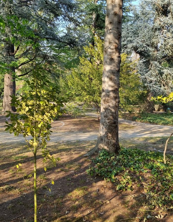 Il Parco di Villa Prever a Pinerolo