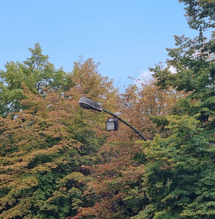 Pinerolo si prepara alla rivoluzione a led dell’illuminazione pubblica