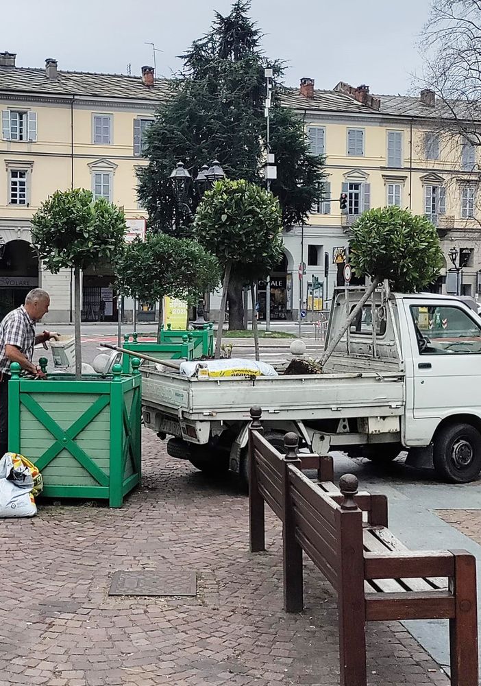 I lavori sulle fioriere in centro