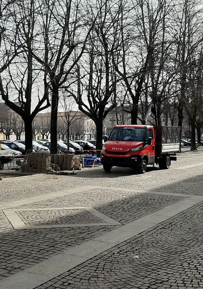 Il Comune di Pinerolo cura le piante di piazza Vittorio Veneto che “faticano a respirare”