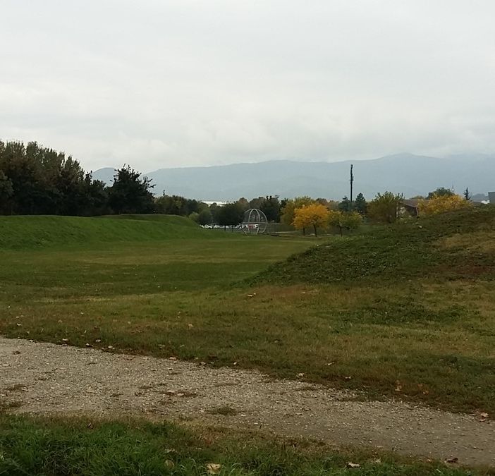 Cani liberi al Parco Olimpico di Pinerolo? &quot;Presto verrà realizzata l’area sgambamento&quot;