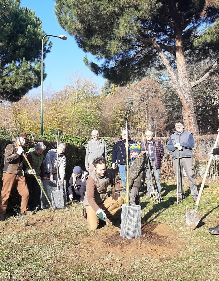La piantumazione di sabato in strada Serena a Pinerolo