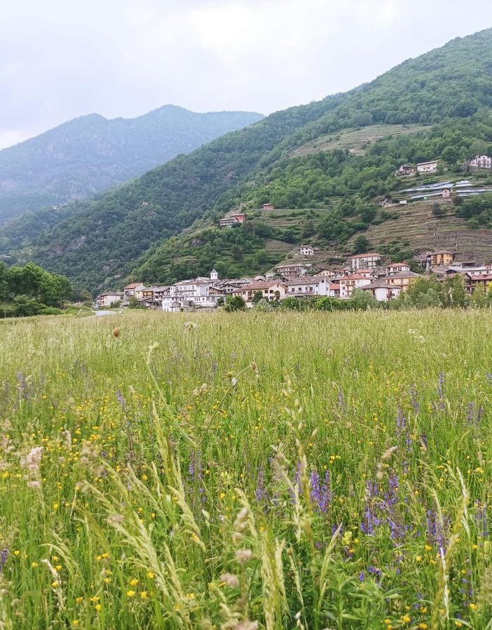 Pomaretto pianterà gli alberi di Mateo ed Hervè