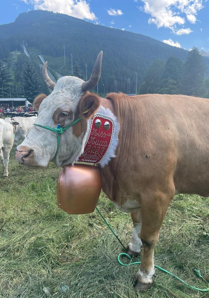 La Miss Mucca Risulin