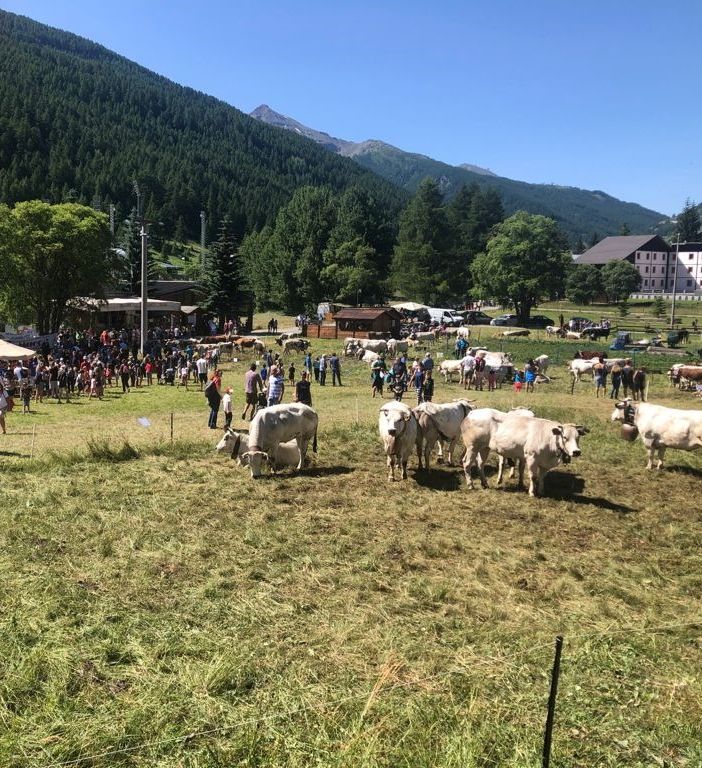 (Foto di repertorio)