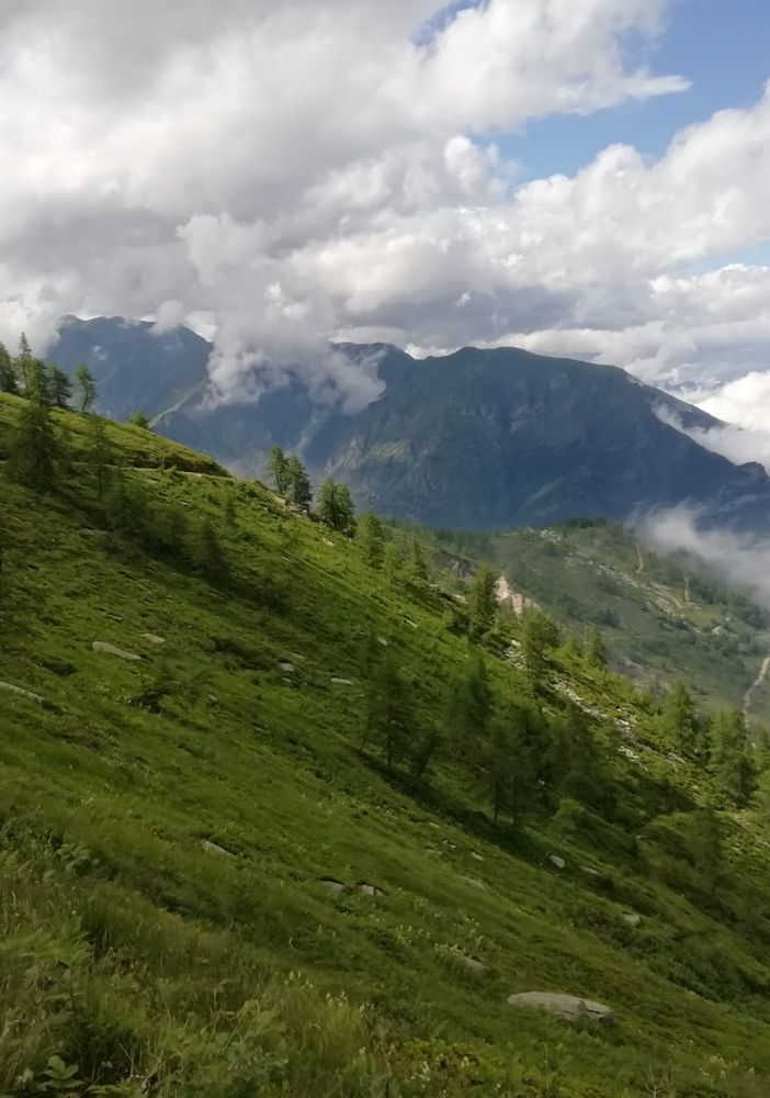 I disegni di Terracini e il racconto del figlio nato grazie al silenzio dei rorenghi