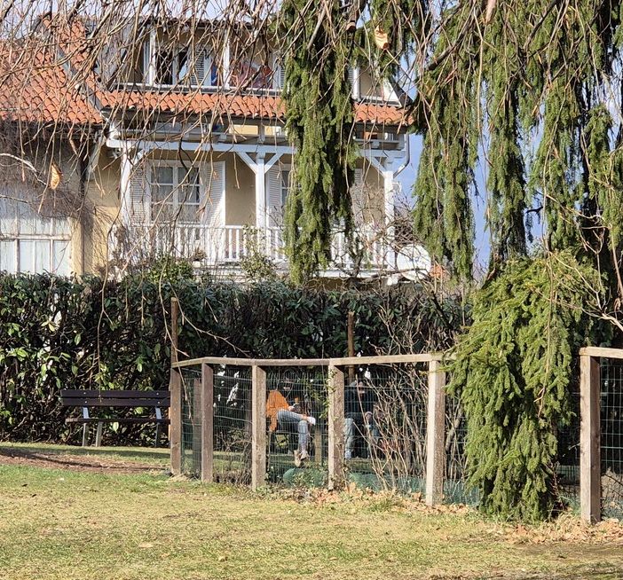 In fondo vicino alla siepe, le due nuove panchine vicine al laghetto del Parco di Villa Widemann