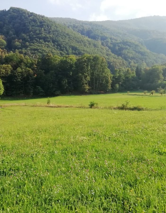 In Val Pellice una pista tutta nuova per mucche e ciclisti