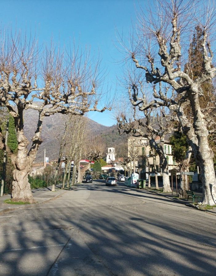 Torre Pellice raddoppia le risorse per la potatura delle piante