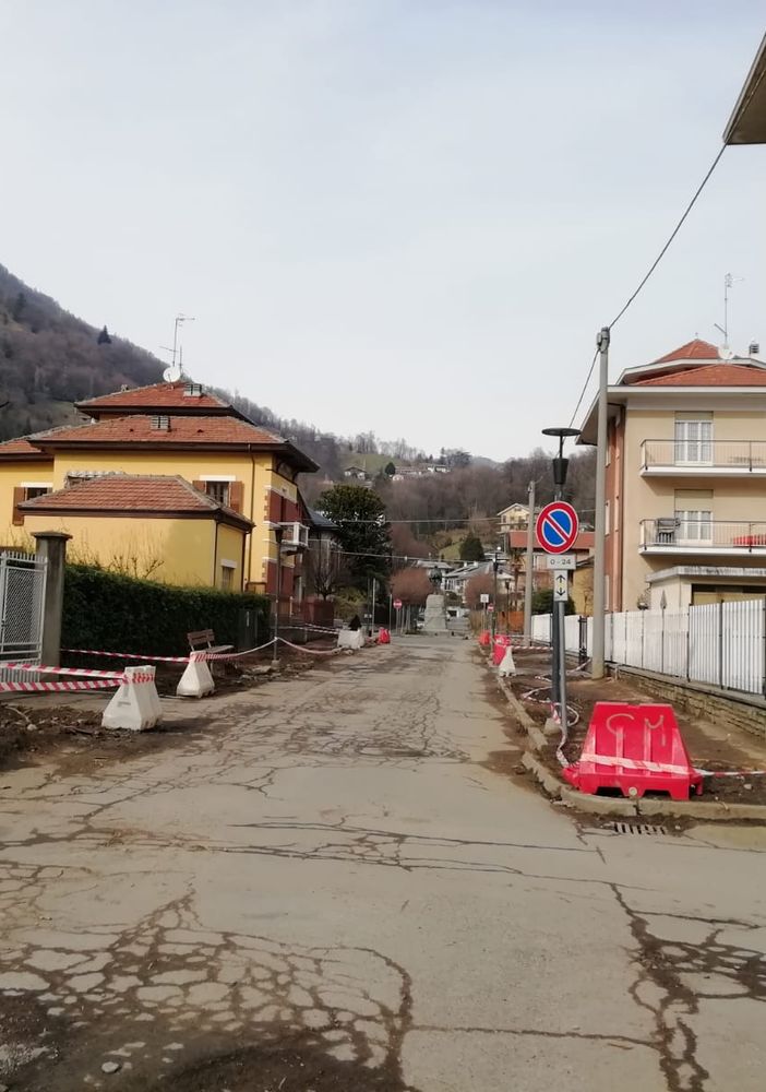 Viale della Rimembranza piante tagliate