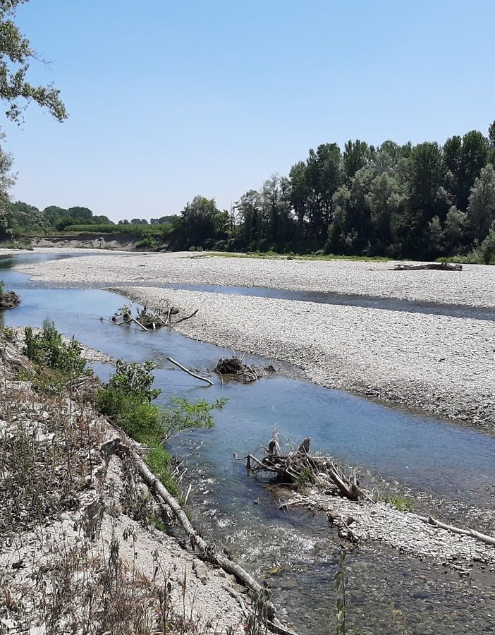 Il torrente Pellice è in salute, ma preoccupano i batteri
