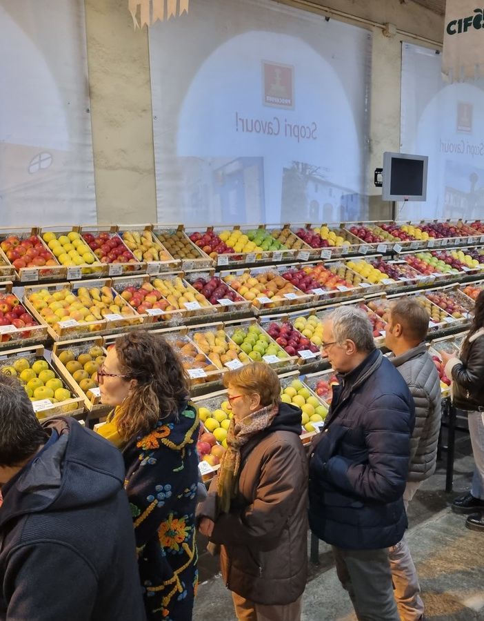 (Foto di repertorio)