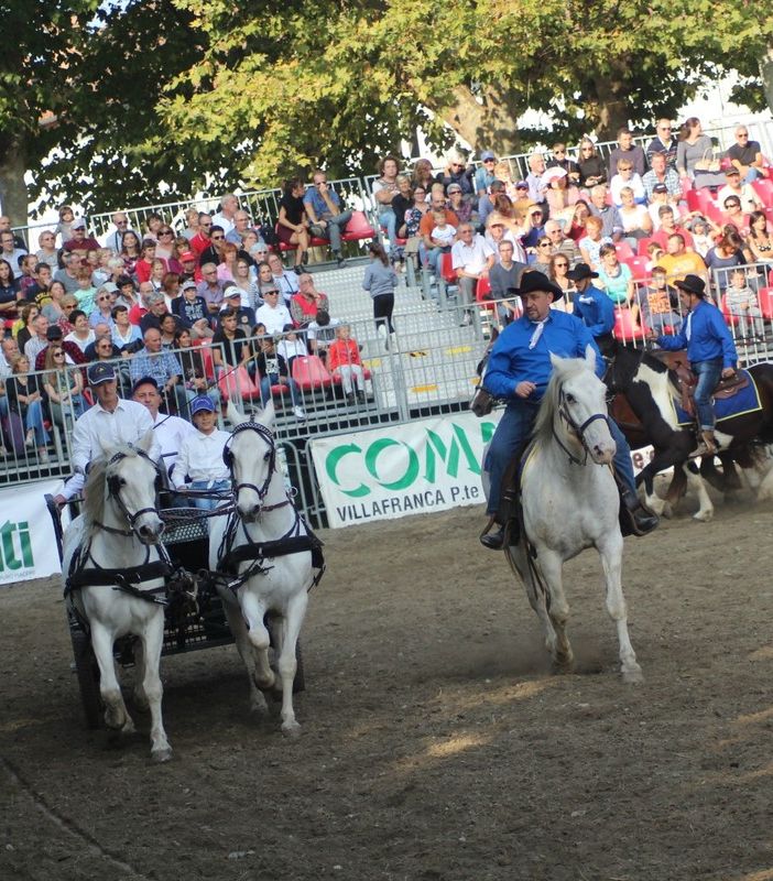 (Foto di repertorio)