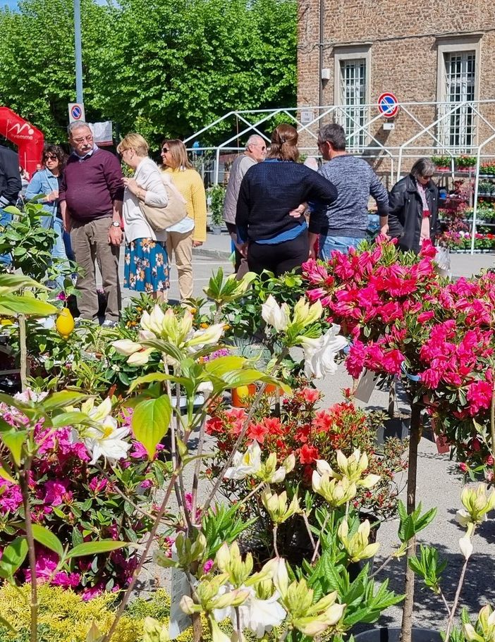 Uno scatto della scorsa edizione di Vigoflor