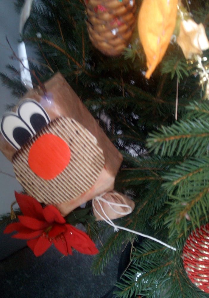 Un dettaglio dell’albero vincente