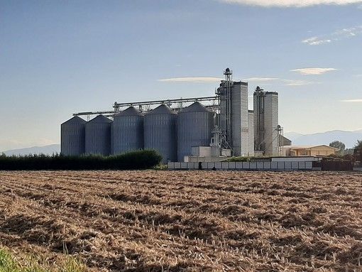 azienda agricola mais