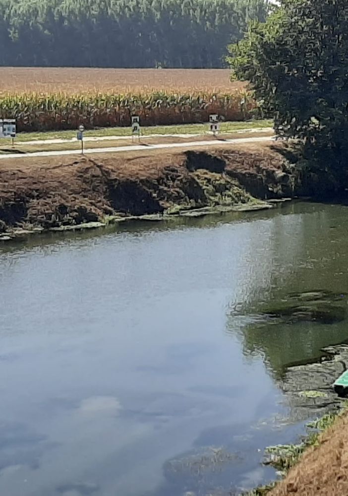 Fiera, musica, cucina tipica e altro ancora... tutto il programma della Sagra dei Pescatori di Villafranca Piemonte