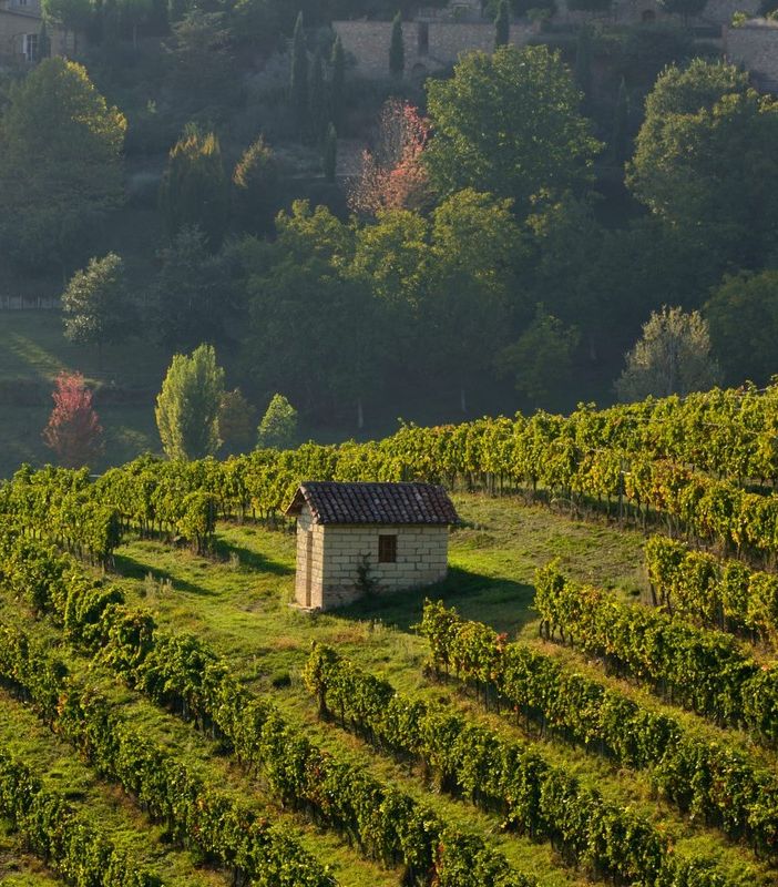 La cantina Produttori di Govone apre le porte al pubblico