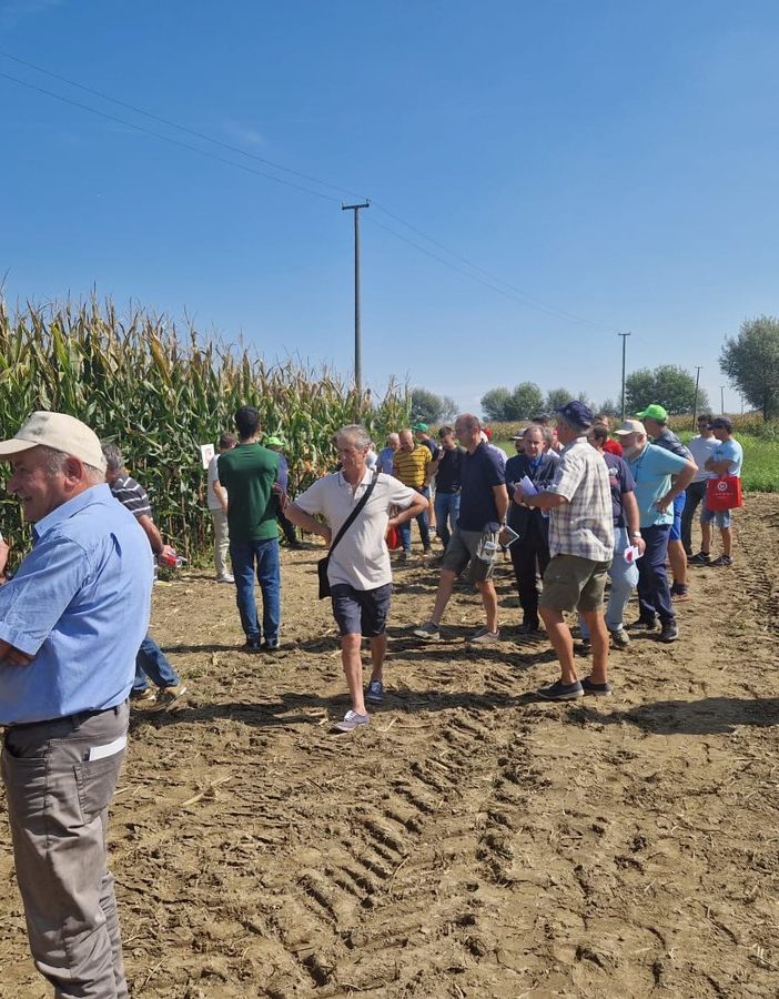 Risultati e nuovi scenari del settore maidicolo al Pignatelli Day
