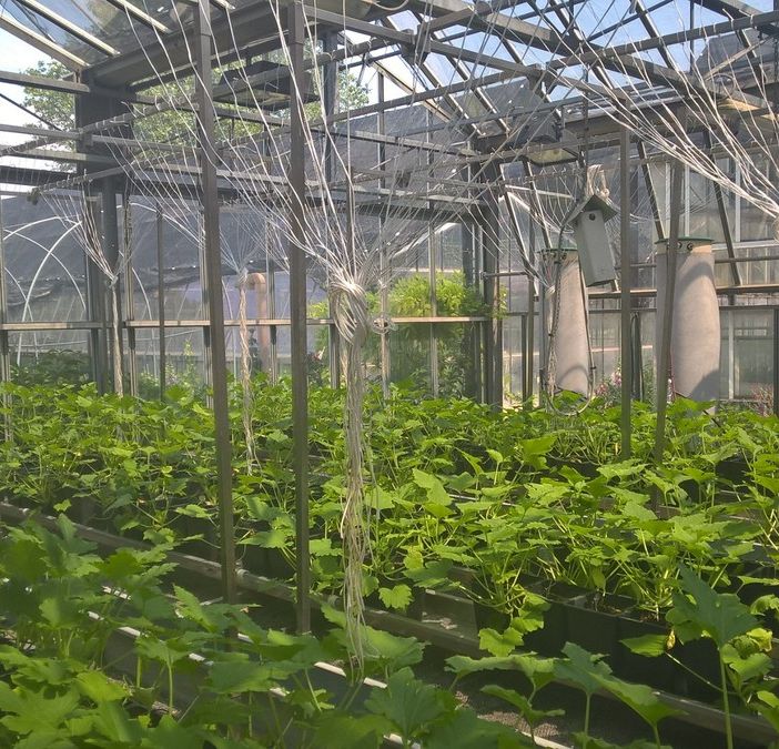 il centro di ricerche di Agroinnova