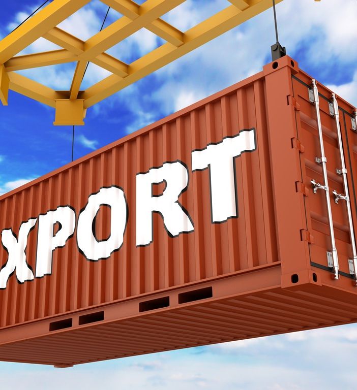 Carico sollevato da una gru su cui campeggia la scritta Export