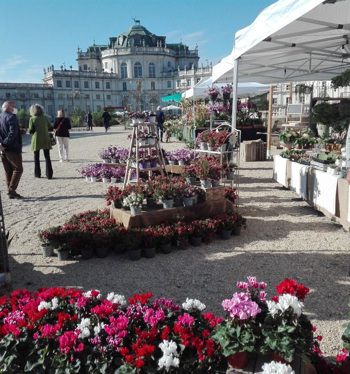 Floreal 2022: la kermesse torna con un'anteprima primaverile alla Palazzina di Caccia di Stupinigi