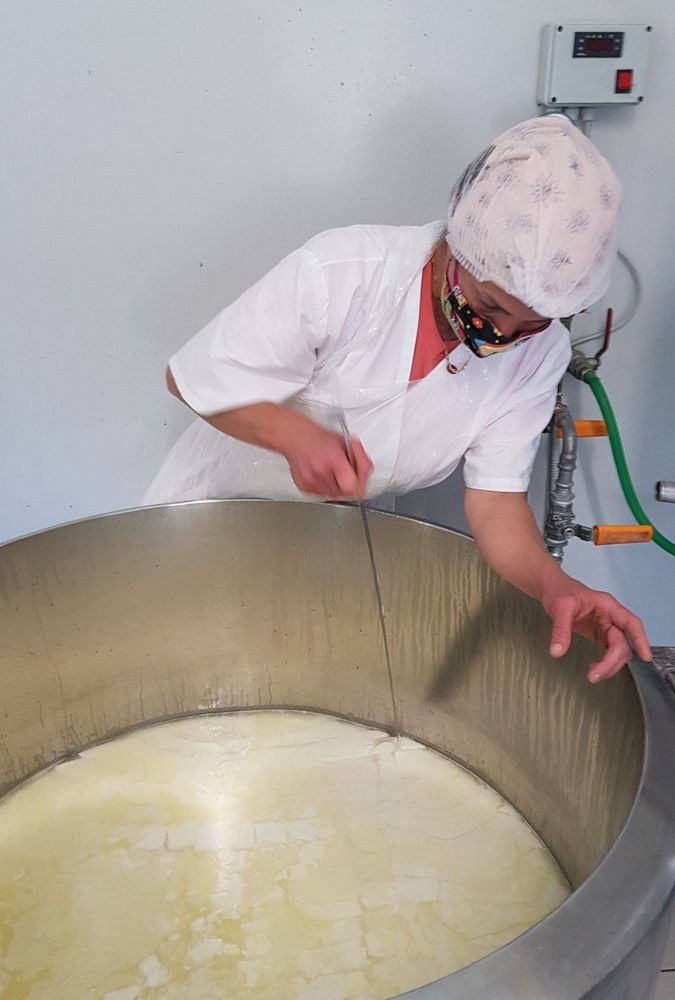 Un viaggio nel mondo del formaggio di capra, dove il rispetto per l’ambiente e per gli animali sposa tradizione e innovazione