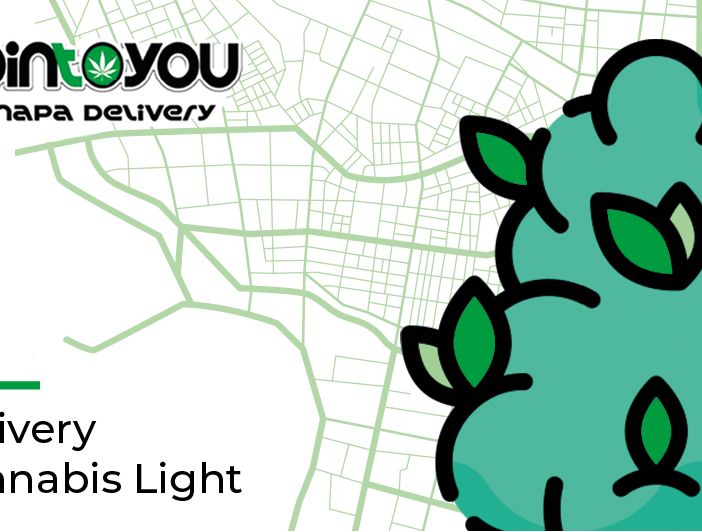 JoinToYou, una giovane azienda bolognese protesa ai vertici della distribuzione della Marijuana Legale in Italia grazie al delivery
