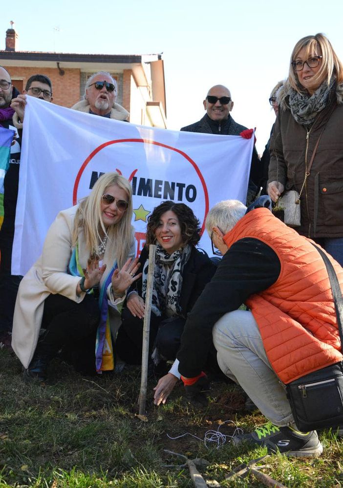 piantumazione alberi