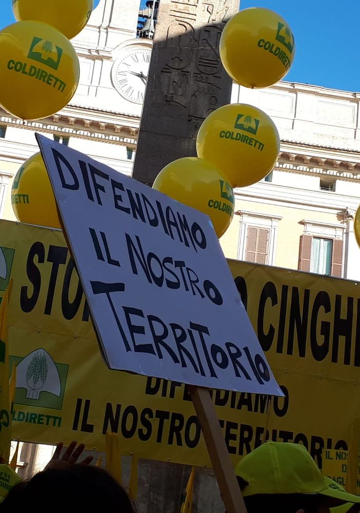 Confagricoltura Piemonte sui cinghiali: &quot;Fronteggiare l’emergenza, assicurare salute e sicurezza&quot;