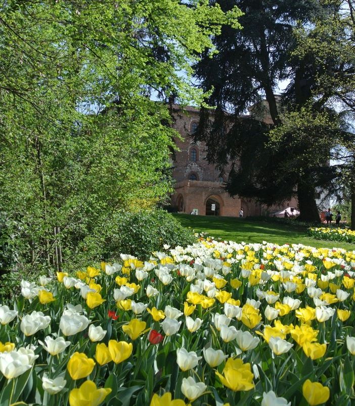 castello di vinovo